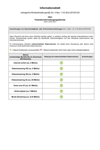 Informationsblatt vertragliche Mindestinhalte